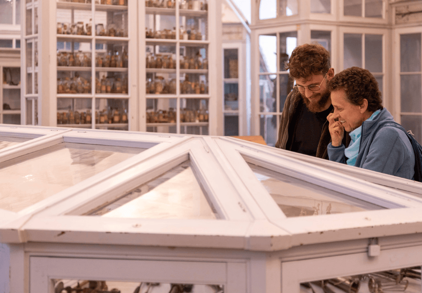 Deux amis se penchent sur les vitrines dans le cabinet de l'Ancienne École de Médecine Navale