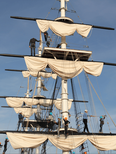 Visiteurs pratiquant l'accrobranche sur l'Accro-mâts